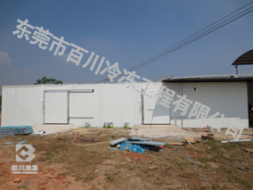 湛江農(nóng)業(yè)公司蔬菜基地冷庫